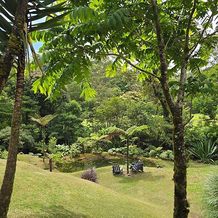 Monteverde Casa Mia, Near Main Attractions And Town! Exterior foto
