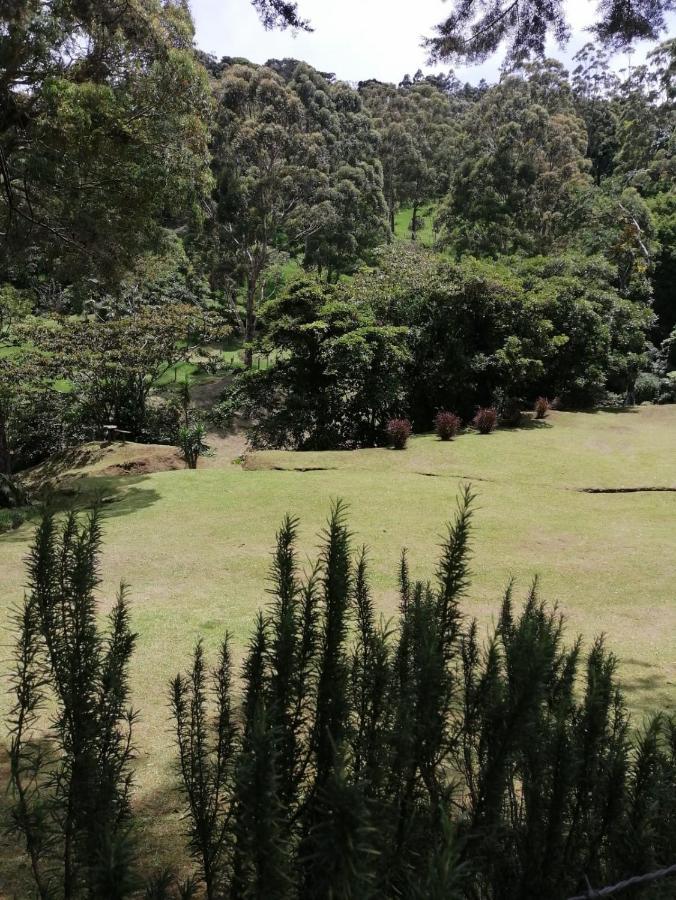 Monteverde Casa Mia, Near Main Attractions And Town! Exterior foto