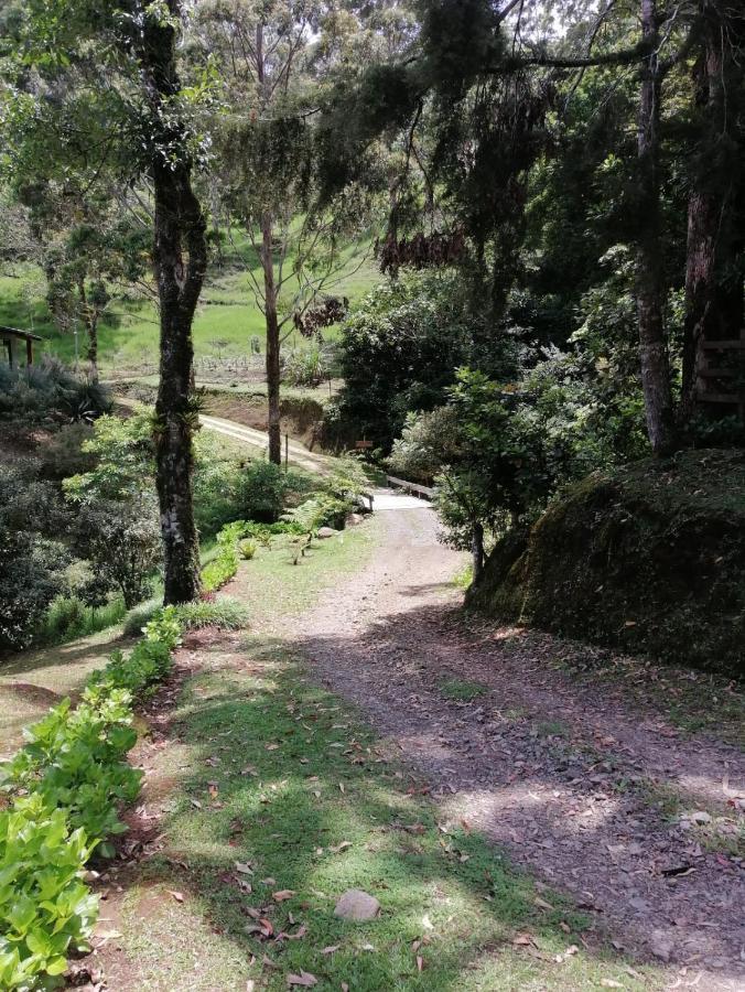 Monteverde Casa Mia, Near Main Attractions And Town! Exterior foto