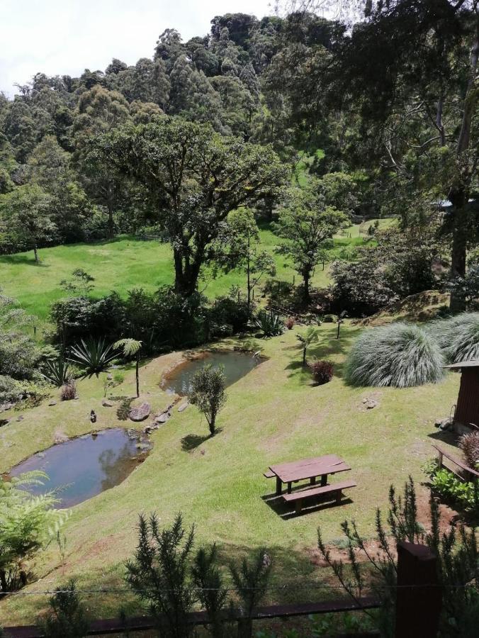 Monteverde Casa Mia, Near Main Attractions And Town! Exterior foto