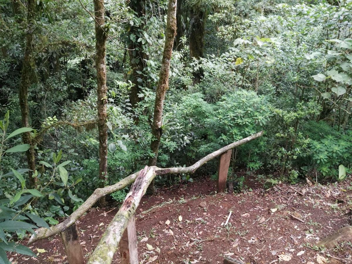 Monteverde Casa Mia, Near Main Attractions And Town! Exterior foto