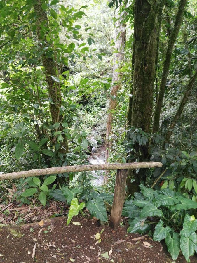 Monteverde Casa Mia, Near Main Attractions And Town! Exterior foto